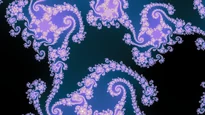 A wallpaper drawn in smooth, in the Julia d = 5 family.