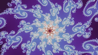 A Julia d = 3 location the search admitted, drawn in one neutral palette.