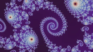 A Julia d = 2 location the search admitted, drawn in one neutral palette.