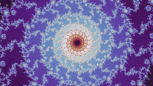 A multibrot d = 4 location the search admitted, drawn in one neutral palette.