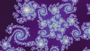 A Julia d = 5 location the search admitted, drawn in one neutral palette.