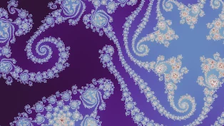 A Julia d = 5 location the search admitted, drawn in one neutral palette.