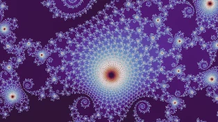 A multibrot d = 3 location the search admitted, drawn in one neutral palette.