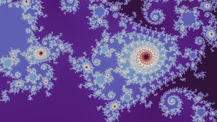 A Julia d = 4 location the search admitted, drawn in one neutral palette.