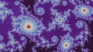 A multibrot d = 4 location the search admitted, drawn in one neutral palette.