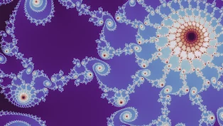 A Mandelbrot location the search admitted, drawn in one neutral palette.