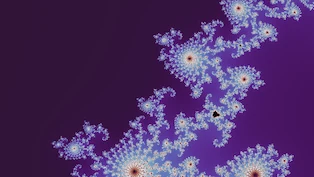 A Mandelbrot frame taken at random on the boundary, drawn in one neutral palette.