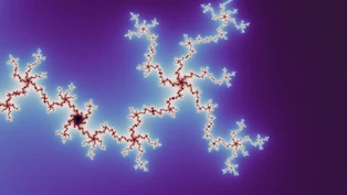 A Mandelbrot frame taken at random on the boundary, drawn in one neutral palette.