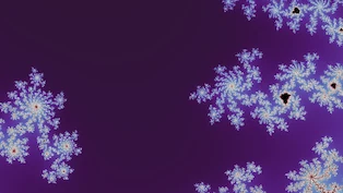A Mandelbrot frame taken at random on the boundary, drawn in one neutral palette.