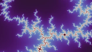 A Mandelbrot frame taken at random on the boundary, drawn in one neutral palette.