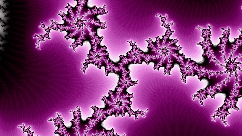 That Julia set zoomed in at c: a branching chain of magenta filigree with spiral knots along it, over plain magenta fields.