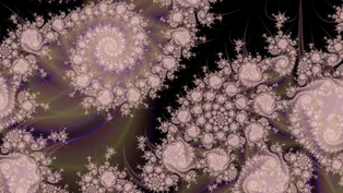 A wallpaper drawn in screened trap, in the Julia d = 5 family.