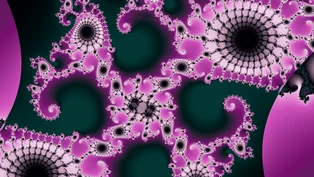 A wallpaper drawn in orbit itinerary, in the Julia family.
