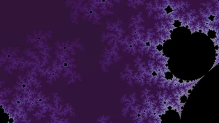 A Multibrot d = 5 location, drawn in one neutral palette.