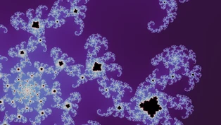 A Multibrot d = 5 location, drawn in one neutral palette.