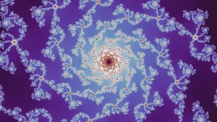 A Julia d = 5 location, drawn in one neutral palette.