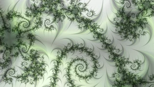A wallpaper drawn in multiplied trap, in the Julia d = 5 family.