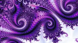 A wallpaper from the Purple pack.