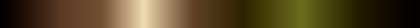 The gradient Tarnished Amber, closes on the color it opens with.